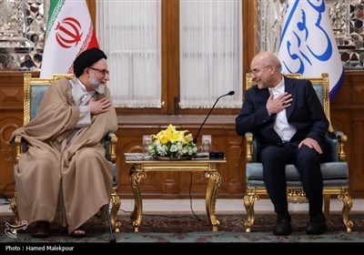 دیدار نوروزی جمعی از مسئولان نظام با رئیس مجلس شورای اسلامی