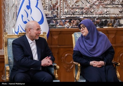 دیدار نوروزی جمعی از مسئولان نظام با رئیس مجلس شورای اسلامی