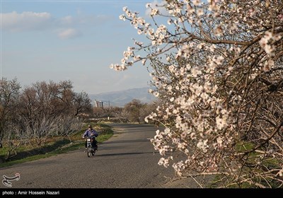 Весенняя природа Ирана - Казвин