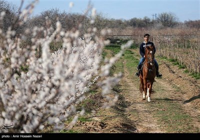 Весенняя природа Ирана - Казвин