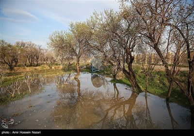 Весенняя природа Ирана - Казвин