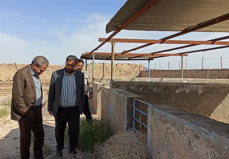 احیای میدان فروش دام زنده گناباد به عنوان محرک اقتصادی