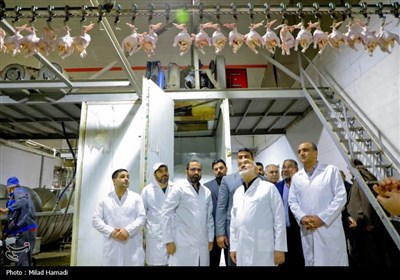 بازدید استاندار خوزستان از واحدهای صنعتی