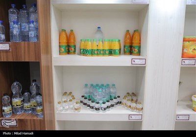 بازدید استاندار خوزستان از واحدهای صنعتی