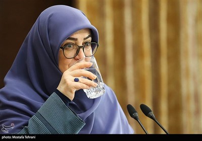 «فاطمه مهاجرانی» سخنگو ی دولت