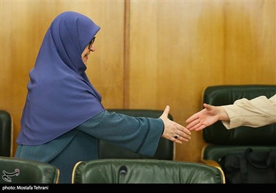 «فاطمه مهاجرانی» سخنگو ی دولت