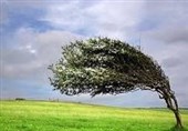کاهش کیفیت هوا در کردستان/ سرعت باد به 112 کیلومتر رسید