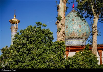 حرم شاهچراغ (ع)، غرق در عطر خوش بهار نارنج