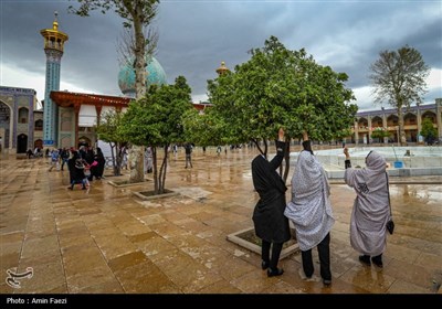 حرم شاهچراغ (ع)، غرق در عطر خوش بهار نارنج