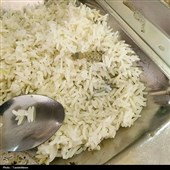 ماجرای مارمولک در غذای سلف دانشجویی کاشان چه بود؟