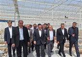 استاندار قزوین از تلاش برای ایجاد منطقه آزاد تاکستان خبر داد