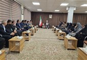هنرمندان در جهت تبیین هنر تلاش کنند/ مفاخر معرفی شوند