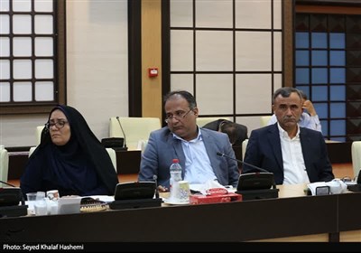 تشکیل کارگروه ملی ماده 4 قانون ساماندهی تجارت مرزی در بوشهر