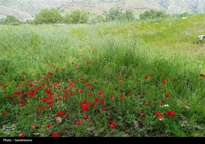 روستاهای جادویی