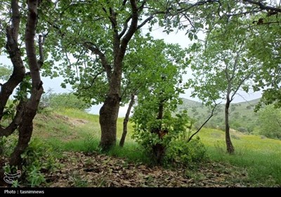 روستاهای جادویی
