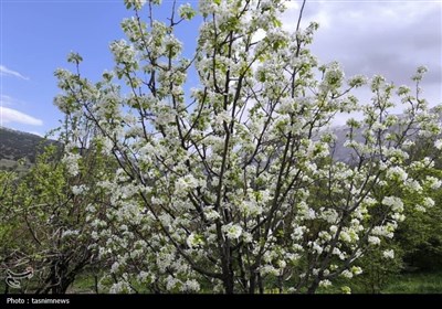 روستاهای جادویی