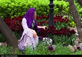 لاله ها‌ی بهاری در باغ ایرانی