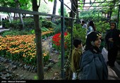 لاله ها‌ی بهاری در باغ ایرانی
