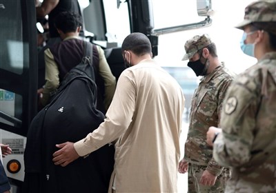 آمريكا،پناهجويان،افغان،دفتر،اسكان