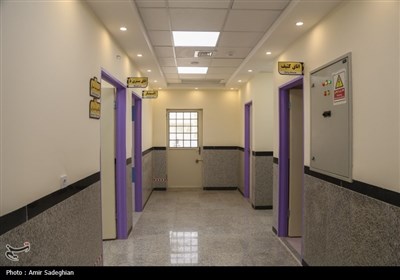 سفر رئیس سازمان انرژی اتمی به فارس