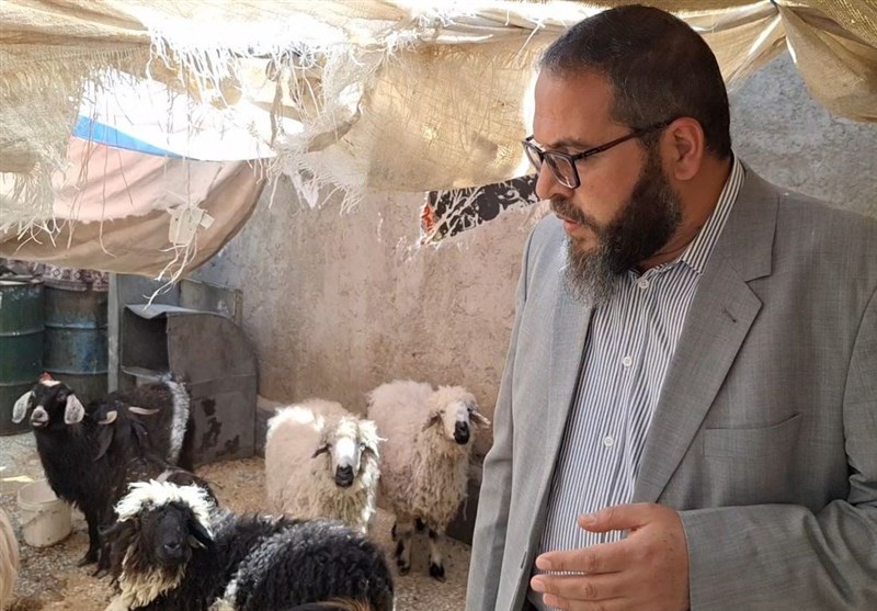 استان سیستان و بلوچستان , 