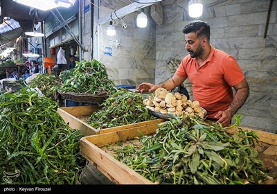بازار فروش گیاهان بهاری در سنندج