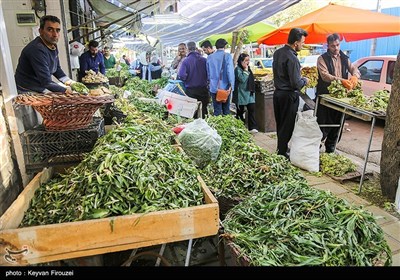 بازار فروش گیاهان بهاری در سنندج