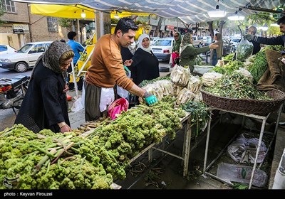 بازار فروش گیاهان بهاری در سنندج