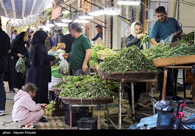 بازار فروش گیاهان بهاری در سنندج