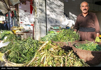 بازار فروش گیاهان بهاری در سنندج