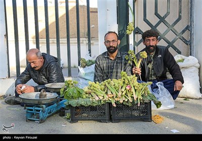 بازار فروش گیاهان بهاری در سنندج