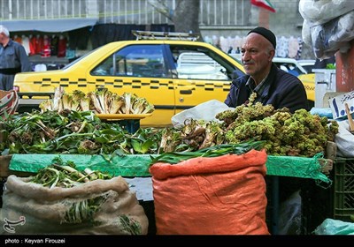 بازار فروش گیاهان بهاری در سنندج