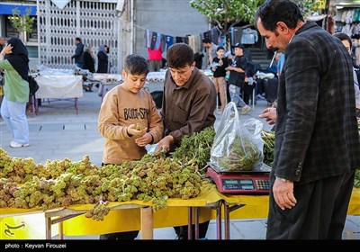بازار فروش گیاهان بهاری در سنندج