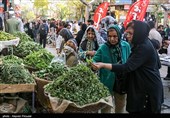بازار فروش گیاهان بهاری در سنندج