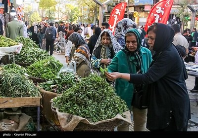 بازار فروش گیاهان بهاری در سنندج