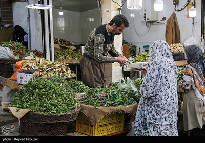 بازار فروش گیاهان بهاری در سنندج