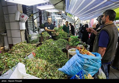 بازار فروش گیاهان بهاری در سنندج