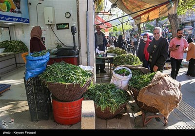 بازار فروش گیاهان بهاری در سنندج