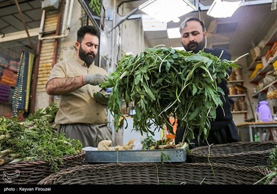 بازار فروش گیاهان بهاری در سنندج