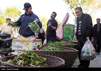 بازار فروش گیاهان بهاری در سنندج