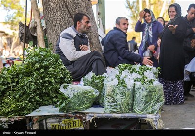 بازار فروش گیاهان بهاری در سنندج