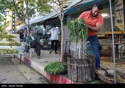 بازار فروش گیاهان بهاری در سنندج