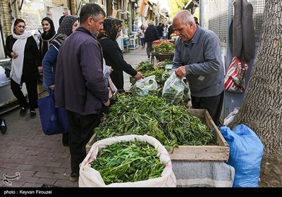 بازار فروش گیاهان بهاری در سنندج