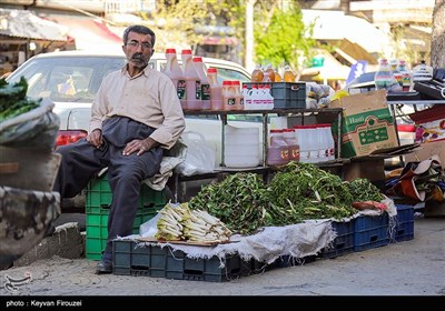 بازار فروش گیاهان بهاری در سنندج