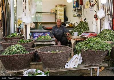 بازار فروش گیاهان بهاری در سنندج