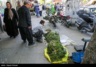بازار فروش گیاهان بهاری در سنندج