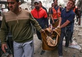 Iran’s Sacred Shrines Committee Condemns Israeli Crimes in Gaza