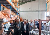 بازدید وزیر دادگستری از انبارهای اموال تملیکی همدان