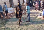 کشته و مجروح شدن 500 آواره سودانی در اردوگاه زمزم