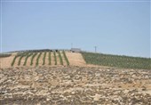 نقشه اسرائیل در بلعیدن کرانهباختری/ آوارگی خاموش فلسطینیها